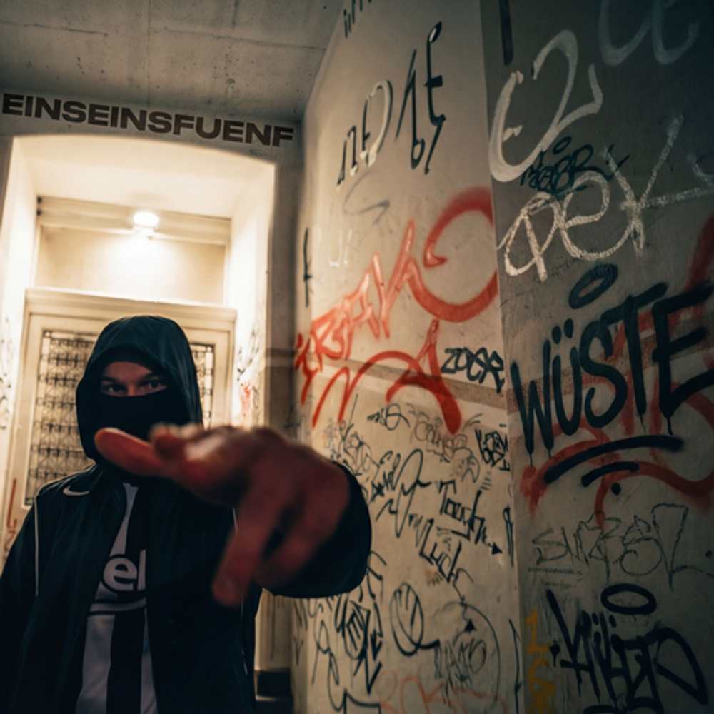 Cover: Venti - WÜSTE