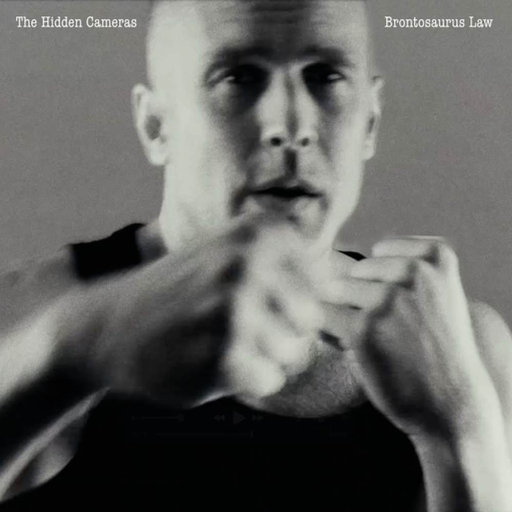 Cover: The Hidden Cameras - Brontosaurus law