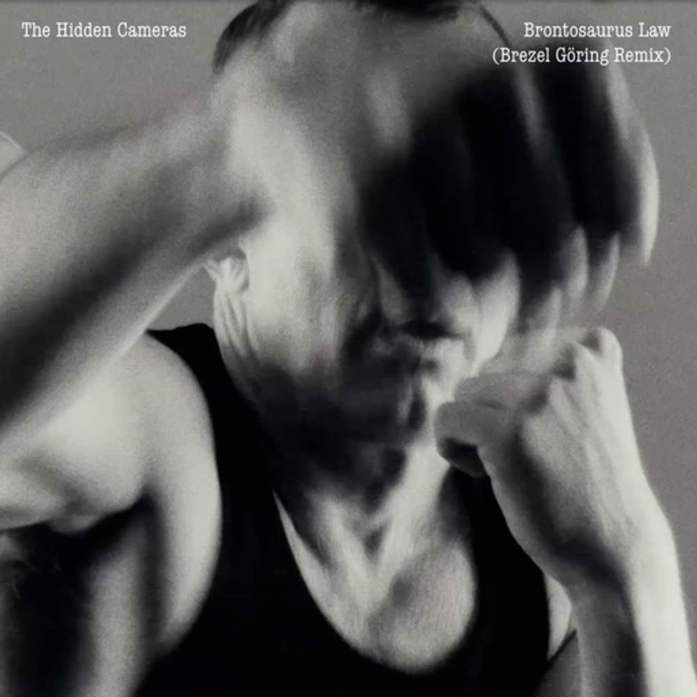 Cover: The Hidden Cameras - Brontosaurus law (Brezel Göring Remix)