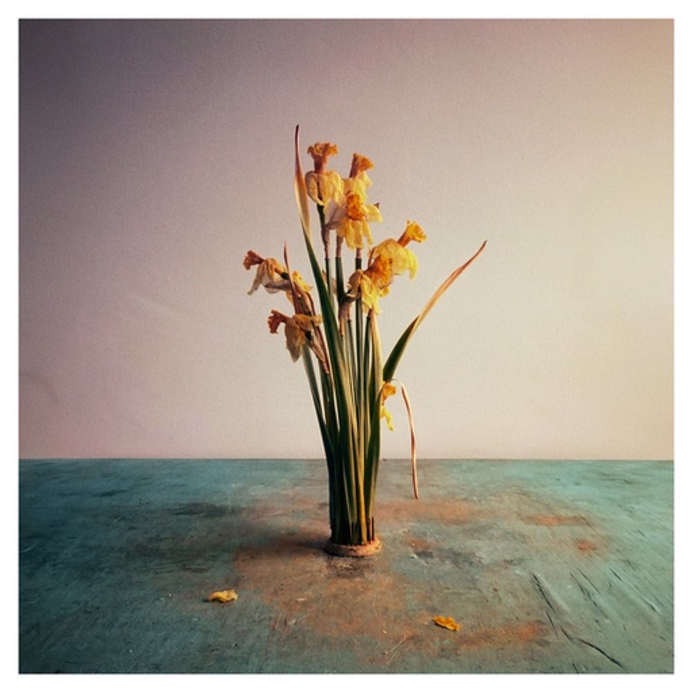 Cover: NEØV - Softer