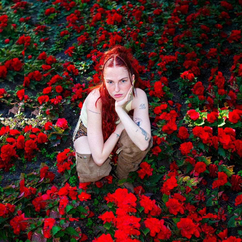 Cover: Bella Reed - Majestätisch