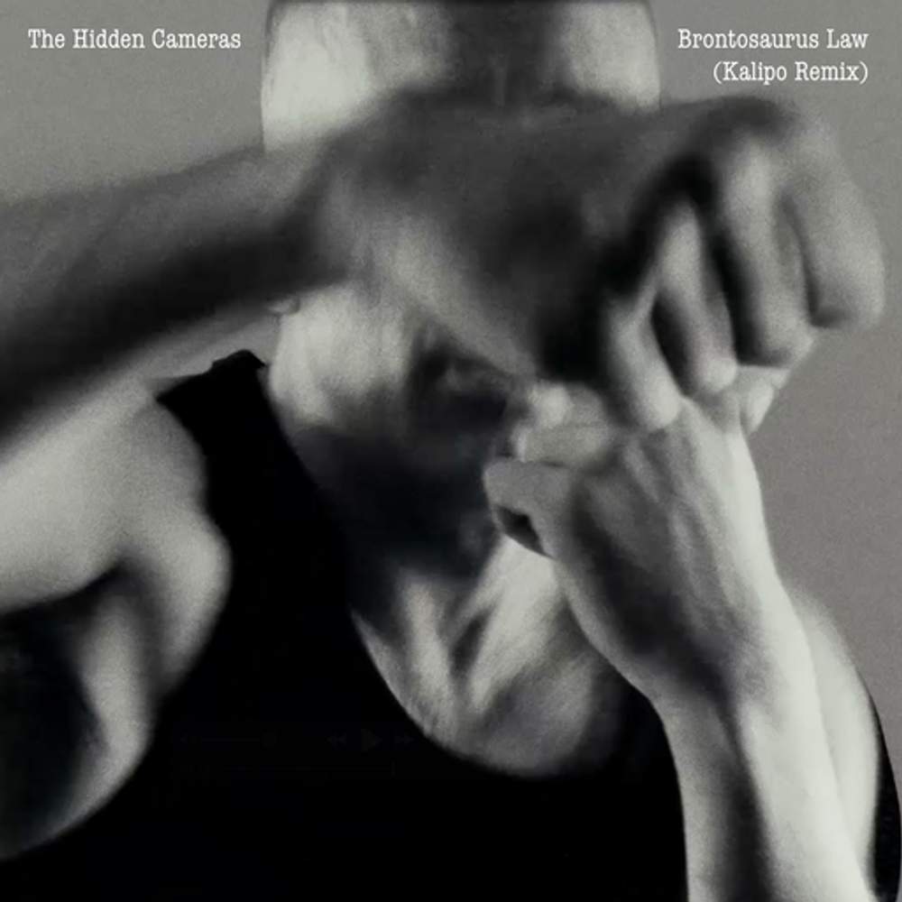 Cover: The Hidden Cameras - Brontosaurus law (Kalipo Remix)