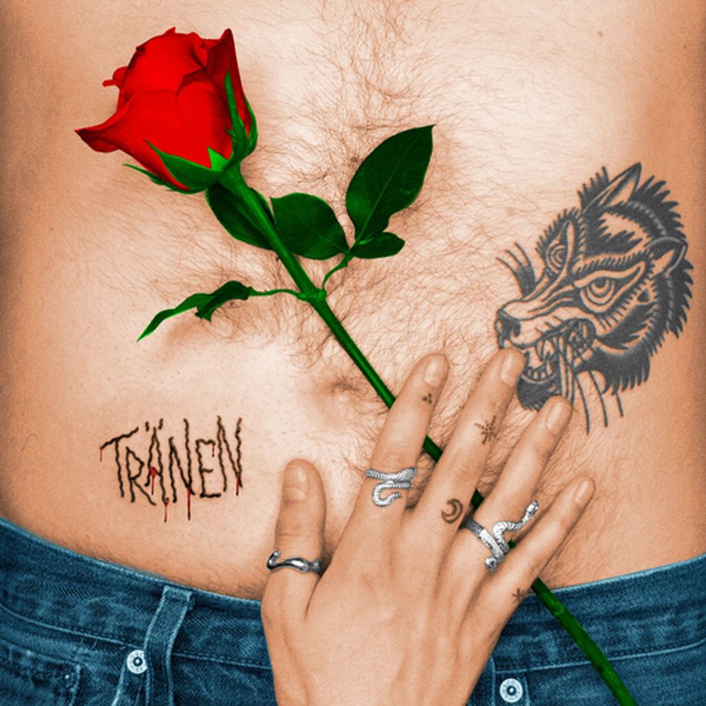 Cover: Tränen - Ich bin nicht berühmt