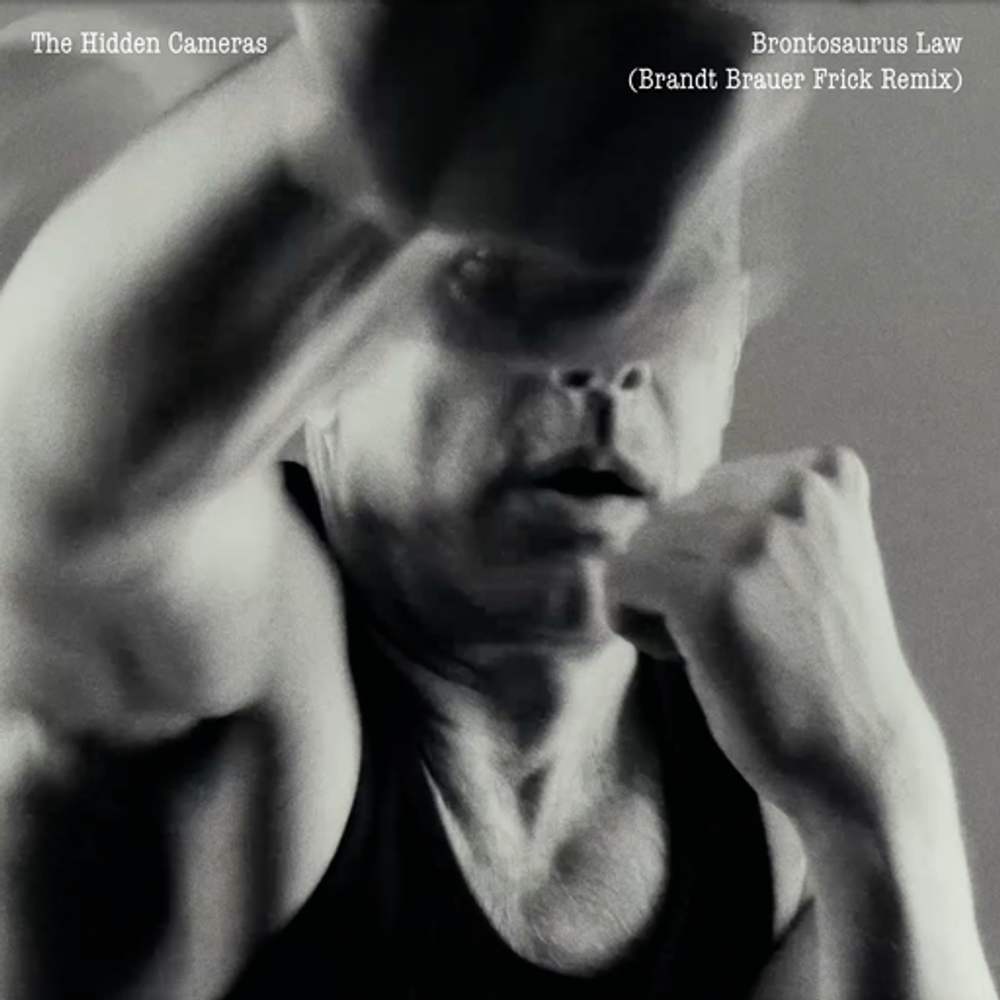 Cover: The Hidden Cameras - Brontosaurus law (Brandt Brauer Frick Remix)