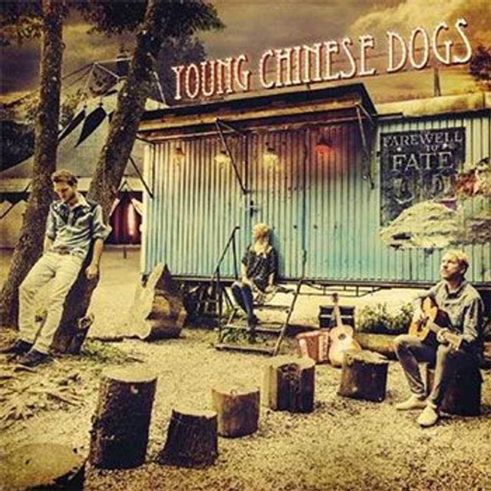 Young Chinese Dogs-additional-1