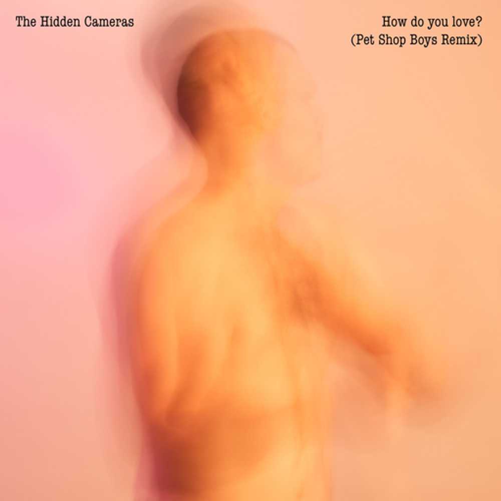 Cover: The Hidden Cameras - How do you love? (Pet Shop Boys Remix)