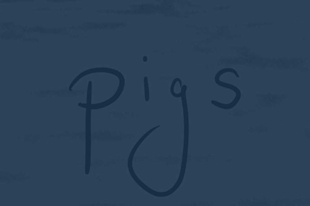 Olmo veröffentlicht neue Single - "Pigs"